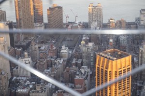 _DSC0518